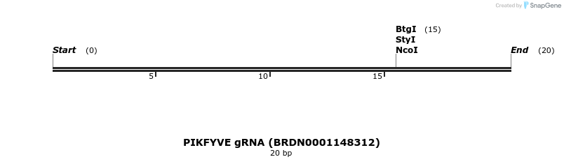 144353_map