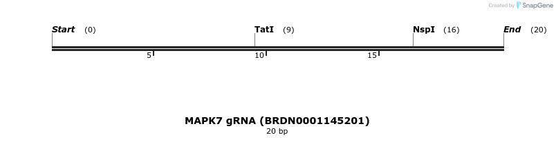 144355_map