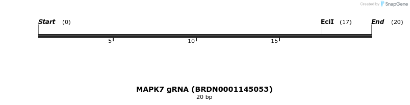 144356_map