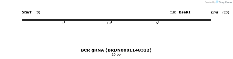 144368_map