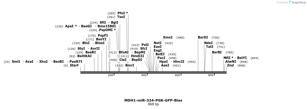 14437_map