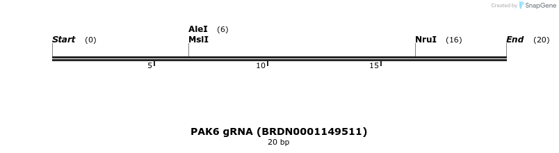 144382_map