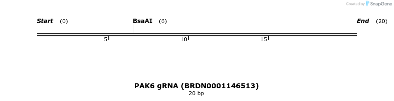 144384_map