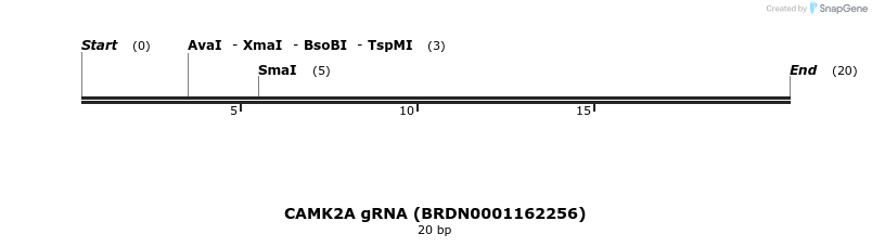 144389_map