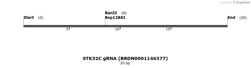 144392_map