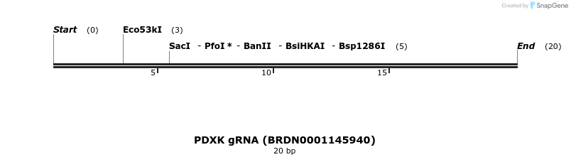 144394_map