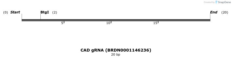 144421_map