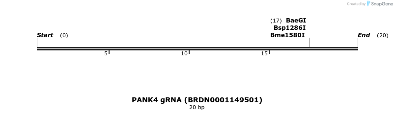144431_map