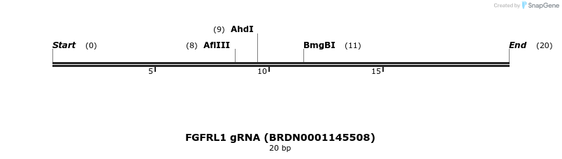 144435_map