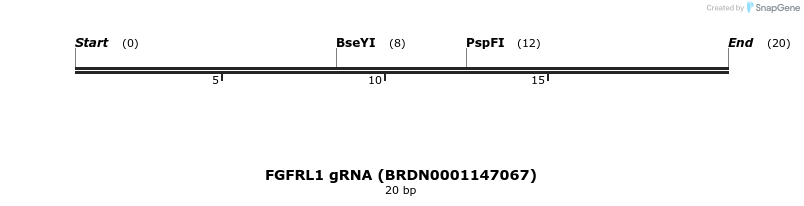 144437_map