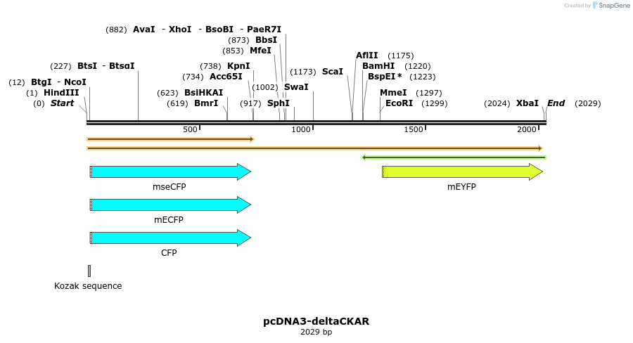 14445_map