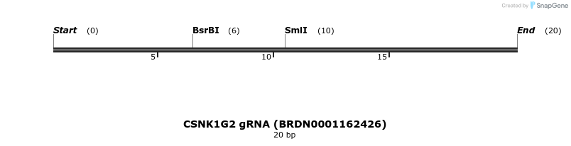 144451_map