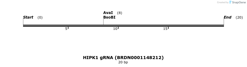 144452_map