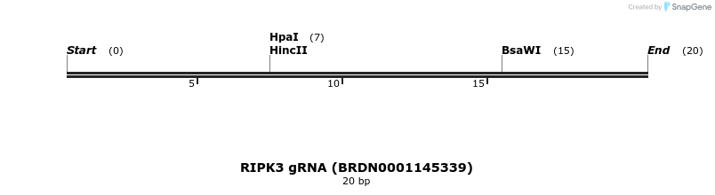 144458_map