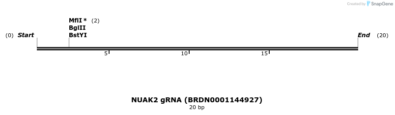 144461_map