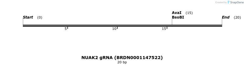 144463_map