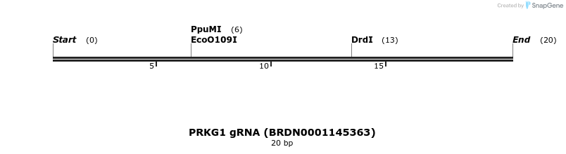144467_map