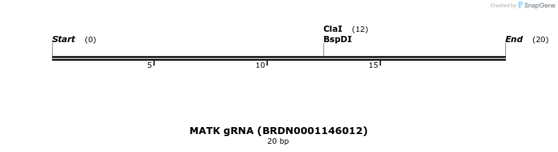 144475_map