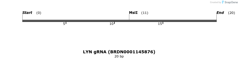 144487_map