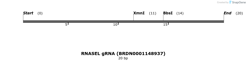 144514_map