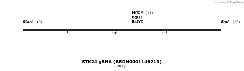 144517_map