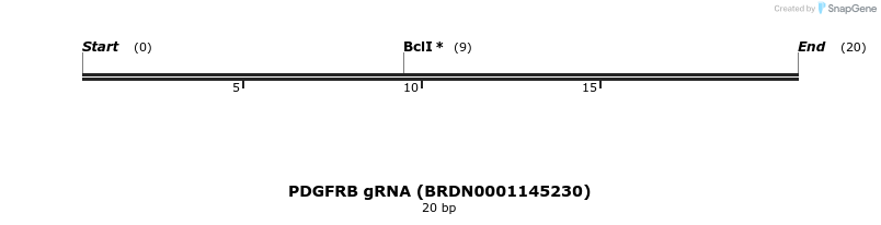 144521_map