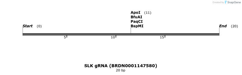 144527_map