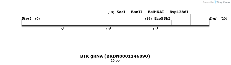 144533_map