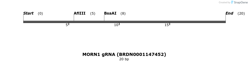144539_map