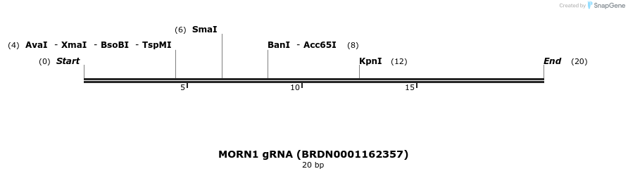 144541_map