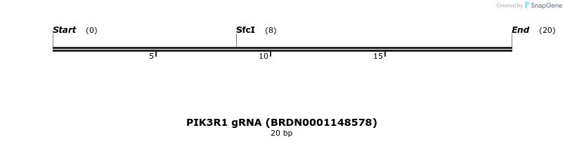 144552_map