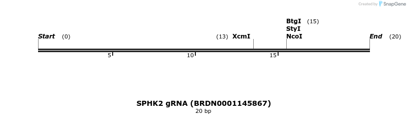 144554_map