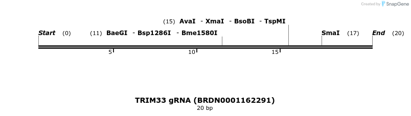144557_map