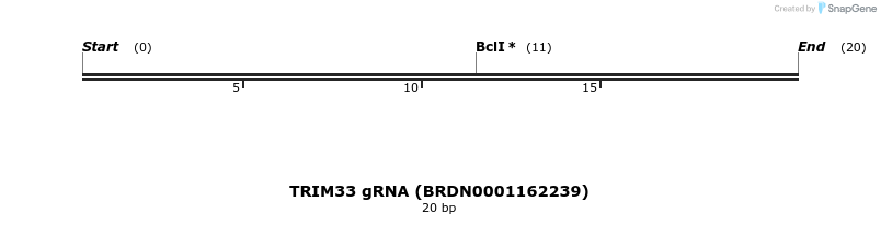 144558_map