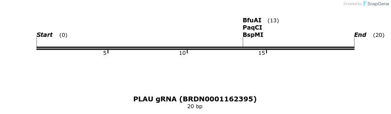 144563_map