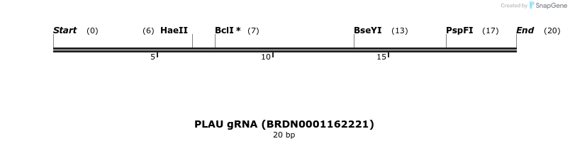 144564_map