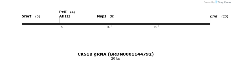 144566_map