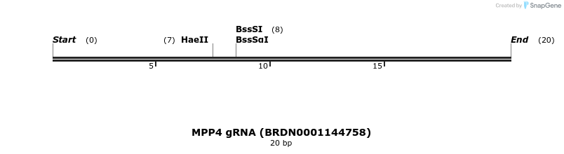 144572_map
