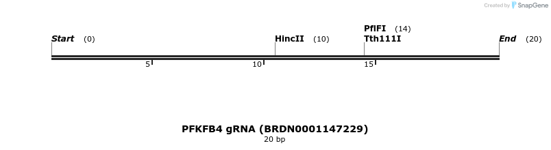 144582_map