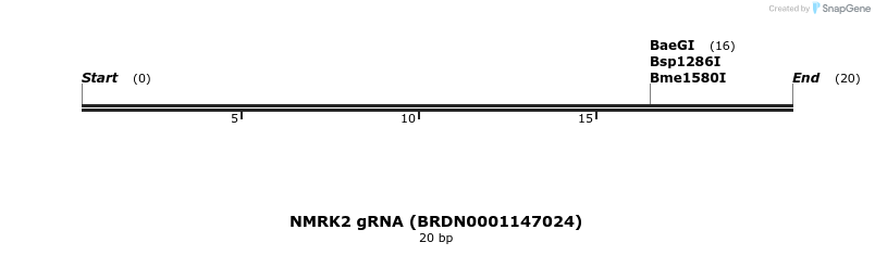 144588_map