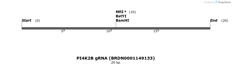 144593_map