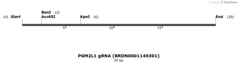 144605_map