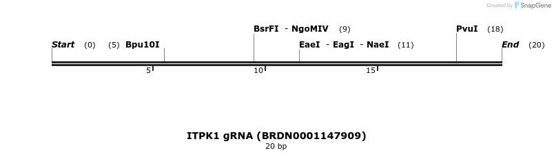 144609_map