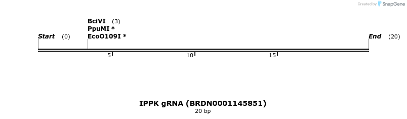 144611_map