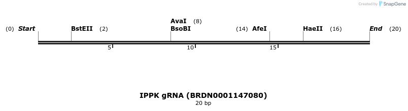 144613_map