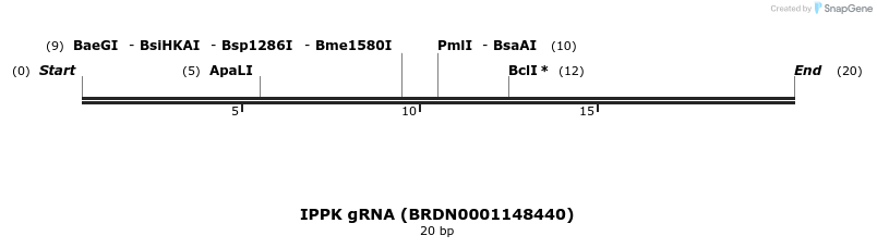 144614_map