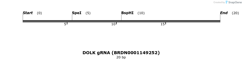 144618_map