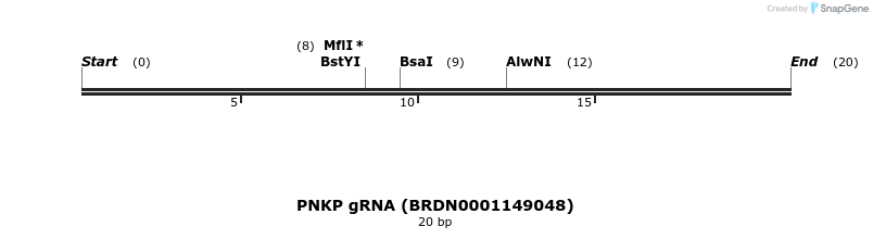 144623_map