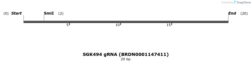144631_map