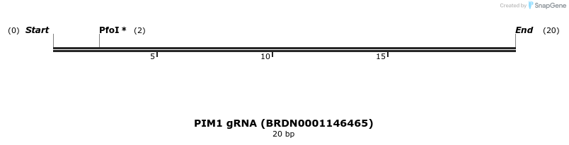 144634_map